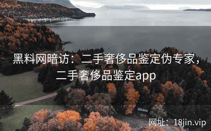 黑料网暗访：二手奢侈品鉴定伪专家，二手奢侈品鉴定app  第1张