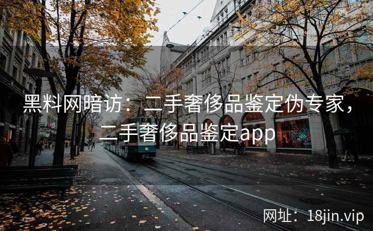 黑料网暗访：二手奢侈品鉴定伪专家，二手奢侈品鉴定app  第2张