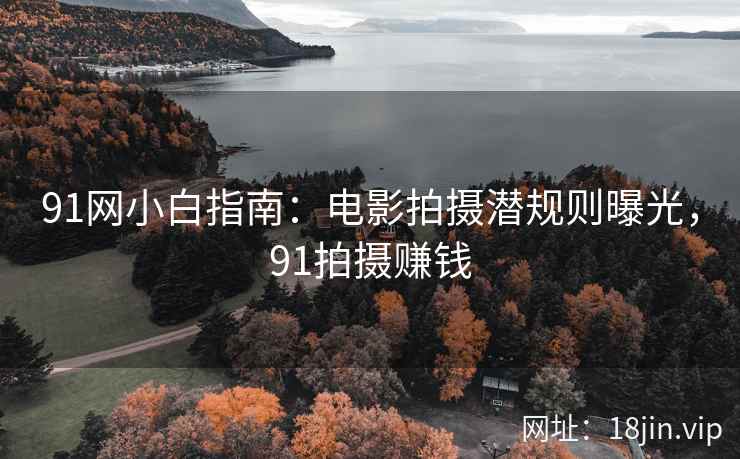 91网小白指南：电影拍摄潜规则曝光，91拍摄赚钱