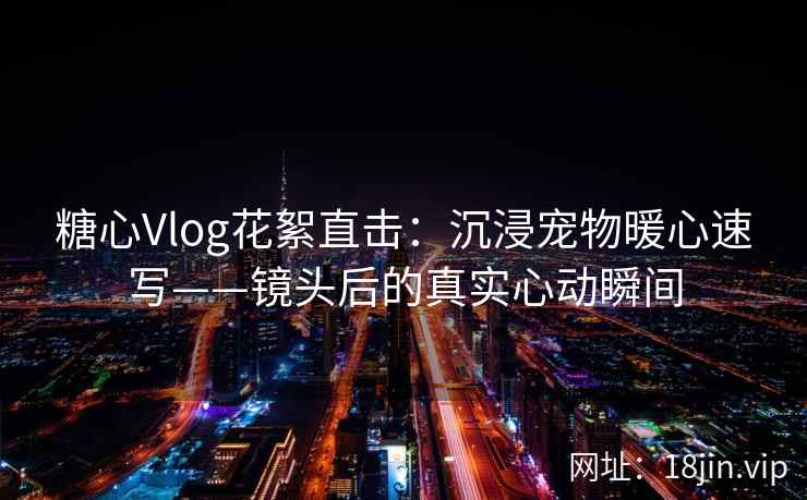 糖心Vlog花絮直击：沉浸宠物暖心速写——镜头后的真实心动瞬间  第1张