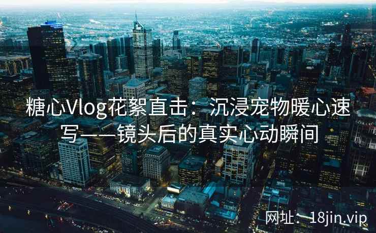 糖心Vlog花絮直击：沉浸宠物暖心速写——镜头后的真实心动瞬间  第2张