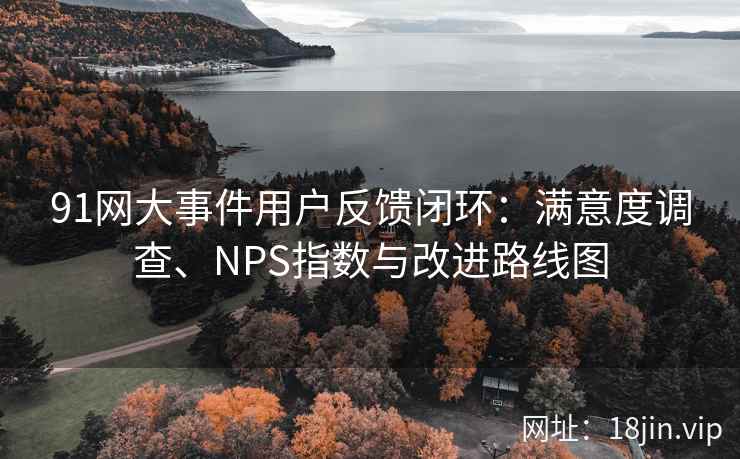 91网大事件用户反馈闭环：满意度调查、NPS指数与改进路线图