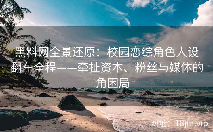 黑料网全景还原：校园恋综角色人设翻车全程——牵扯资本、粉丝与媒体的三角困局