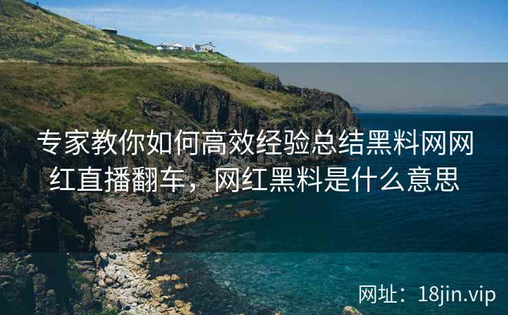 专家教你如何高效经验总结黑料网网红直播翻车，网红黑料是什么意思