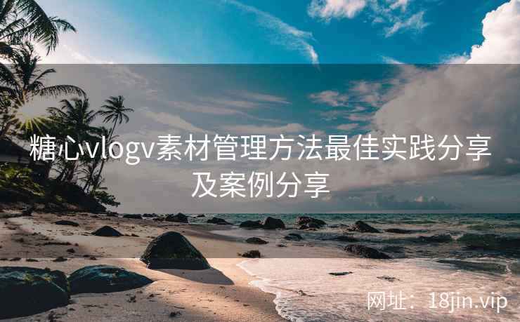 糖心vlogv素材管理方法最佳实践分享及案例分享  第2张