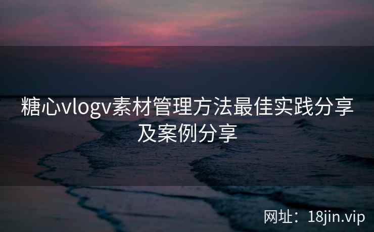 糖心vlogv素材管理方法最佳实践分享及案例分享