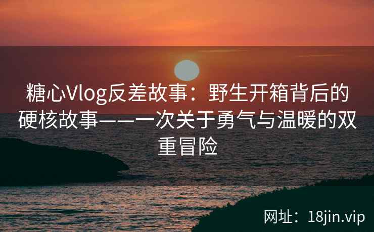 糖心Vlog反差故事：野生开箱背后的硬核故事——一次关于勇气与温暖的双重冒险